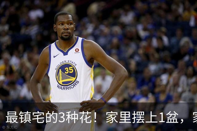 最镇宅的3种花！家里摆上1盆，家宅安稳气场旺，晦气邪气不进门